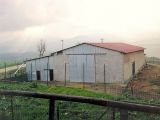 Azienda agricola Radicofani (SI) - capannone