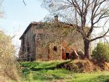 Casale Montollo, Querce al Pino, Chiusi (SI)